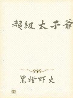 超级太子爷封面