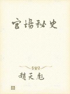 官场秘史