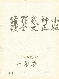 修罗武神小说阅读全文正版封面