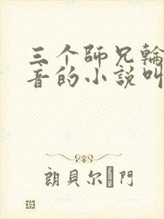 三个师兄轮流上音的小说叫什么