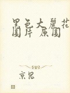 黑色大丽花真实图片 原图