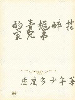 酌青栀醉花阴贺家兄弟封面