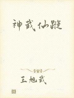 神武仙踪封面