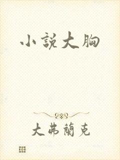 小说大胸