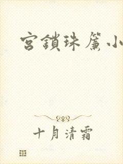 宫锁珠帘小说封面