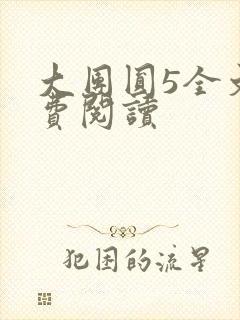 大团圆5全文免费阅读