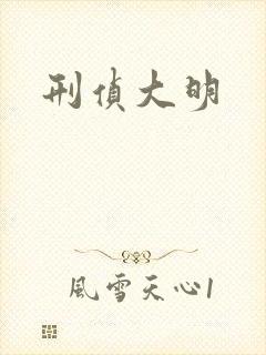 刑侦大明