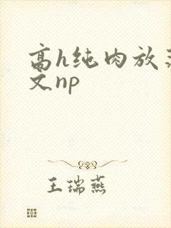 高h纯肉放荡h文np