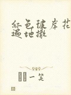 红色彼岸花花瓣遍地撒