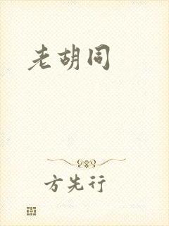 老胡同