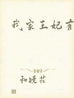 我家王妃有点野封面