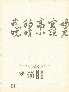 我的高官妈妈苏晚晴小说免费阅读