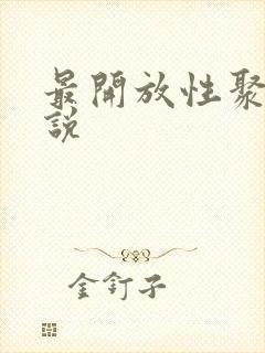 最开放性聚会小说封面