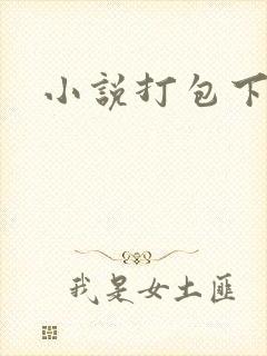 小说打包下载
