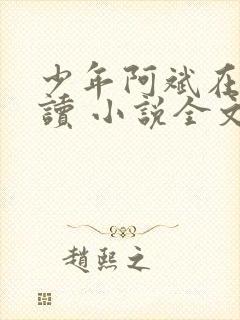 少年阿斌在线阅读 小说全文免费