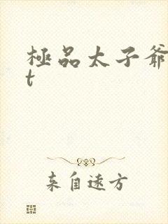 极品太子爷txt封面