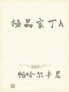 极品家丁h