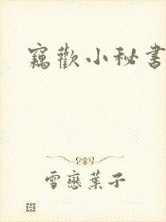 窃欢小秘书