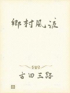 乡村风流封面
