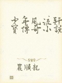 少年风流轩辕大宝传奇小说