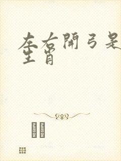 左右开弓是什么生肖封面