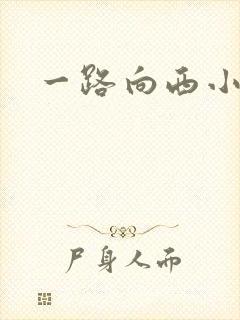 一路向西小说