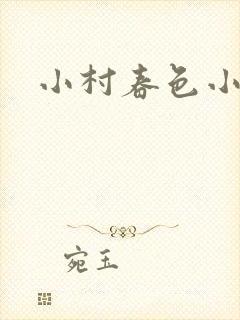 小村春色小说封面