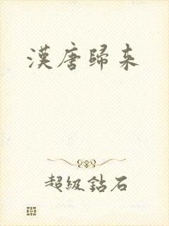 汉唐归来