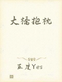 大桥抱枕