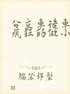公交车后车座的疯狂的做小