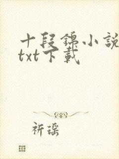 十段锦小说全本txt下载封面