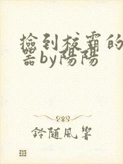 捡到校霸的遥控器by阳阳
