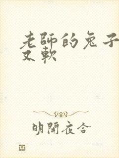 老师的兔子又大又软封面