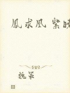 凤求凰 紫晓