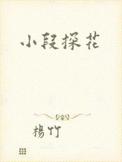 小段探花
