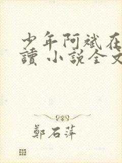少年阿斌在线阅读 小说全文免费