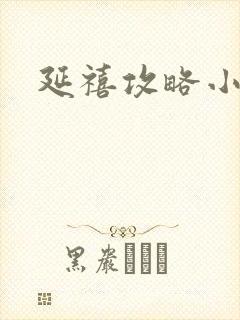 延禧攻略小说