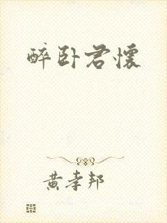 醉卧君怀封面