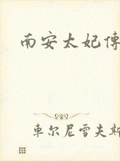 南安太妃传封面