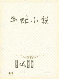 牛虻小说