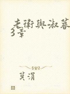 老卫与淑蓉第13章封面