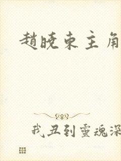 赵晓东主角小说