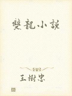 双龙小说