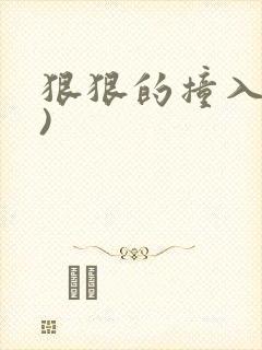 狠狠的撞入(h)