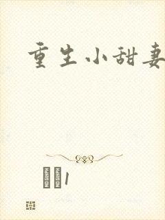 重生小甜妻封面