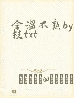 含温不熟by词枝txt