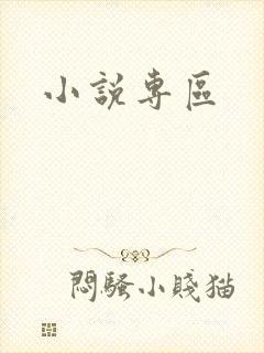 小说专区