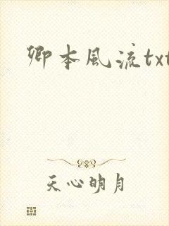 卿本风流txt封面