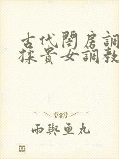 古代闺房调教h揉贵女调教记封面
