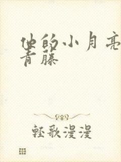 他的小月亮by青藤